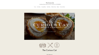 Thumbnail of thecuriouscat.net