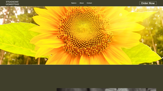 Thumbnail of steadsonshomestead.com