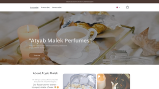 Thumbnail of atyabmalek.com