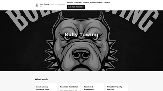 Thumbnail of bullytowing.com