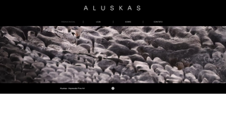 Thumbnail of aluskas.com