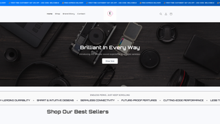 Thumbnail of everytingstore.com