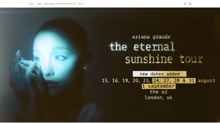 Thumbnail of theeternalsunshinetours.com