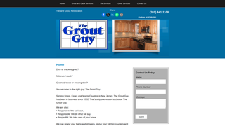 Thumbnail of thegroutguynj.com