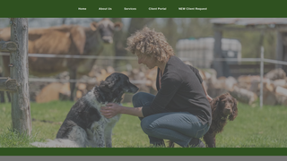 Thumbnail of montaguemobilevet.com