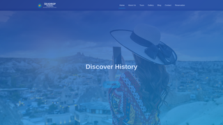 Thumbnail of seadroptravel.com
