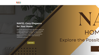 Thumbnail of thenaice.com