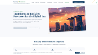 Thumbnail of syntransform.com