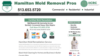 Thumbnail of hamiltonmoldremediation.com