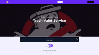 Thumbnail of binbusterstrashremoval.com