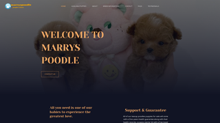 Thumbnail of marryspoodle.com