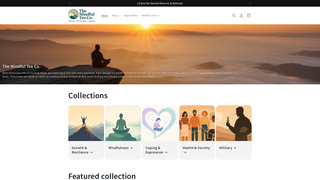 Thumbnail of themindfulteeco.com