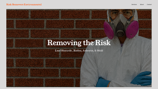 Thumbnail of riskremovers.com