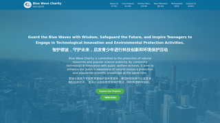 Thumbnail of bluewavecharity.com