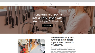 Thumbnail of topstorecity.com
