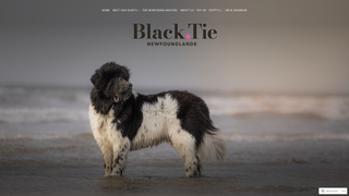 Thumbnail of blacktienewfoundlands.com