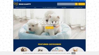 Thumbnail of dogsslappy.com