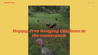 Thumbnail of marigoldfarm.org