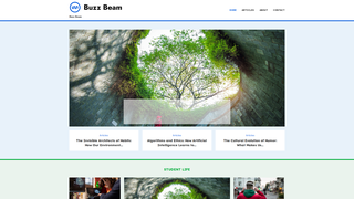 Thumbnail of buzzbeam.org