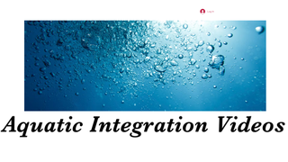 Thumbnail of aquaticintegration-videos.com