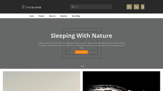 Thumbnail of mbmattress.com