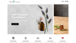 Thumbnail of tillsandworks.com