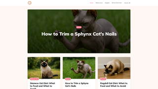 Thumbnail of catscaretips.com