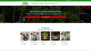 Thumbnail of caudexpetals.com