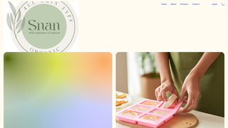 Thumbnail of thesnan.com