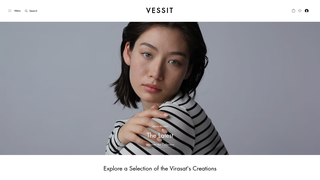 Thumbnail of vessit.com