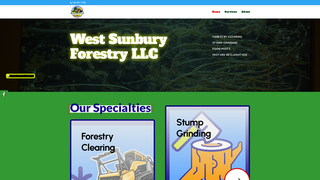 Thumbnail of westsunburyforestry.com