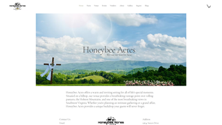 Thumbnail of thehoneybeeacres.com