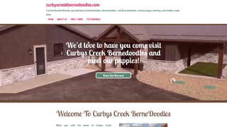 Thumbnail of curbyscreekbernedoodles.com