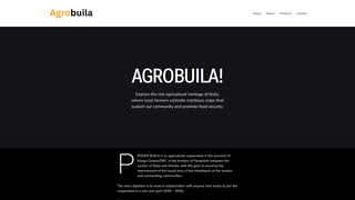 Thumbnail of agrobuila.com