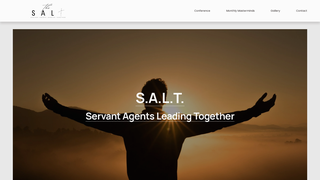 Thumbnail of thesaltyagent.com