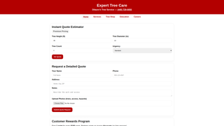 Thumbnail of dilaurostreeservice.com