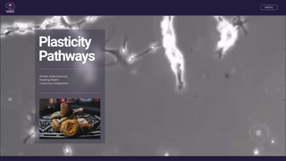 Thumbnail of plasticitypathways.com