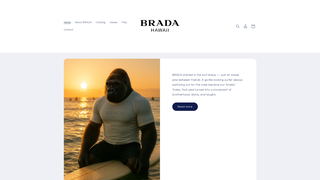 Thumbnail of bradahawaii.com