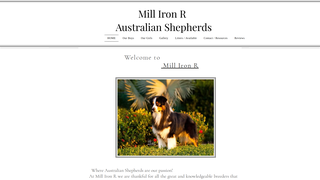 Thumbnail of millironraussies.com
