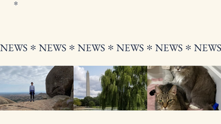 Thumbnail of mackinnonashley.com