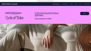 Thumbnail of holistic-fertility.org