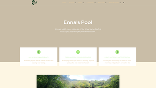 Thumbnail of ennalspool.org