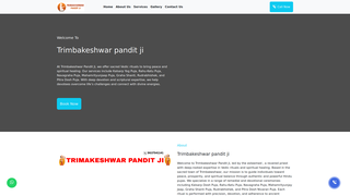 Thumbnail of panditjitrimbakeshwar.com
