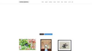 Thumbnail of ivanhoephotos.com