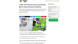 Thumbnail of echopupball.com