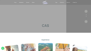 Thumbnail of careaviationservices.com