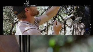 Thumbnail of cervaragear.com