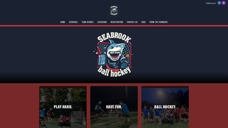 Thumbnail of seabrookballhockey.com