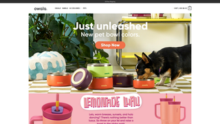 Thumbnail of theowalastore.com