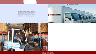 Thumbnail of reddimart.com